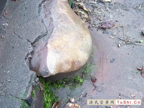 图片来自涂氏宗亲网