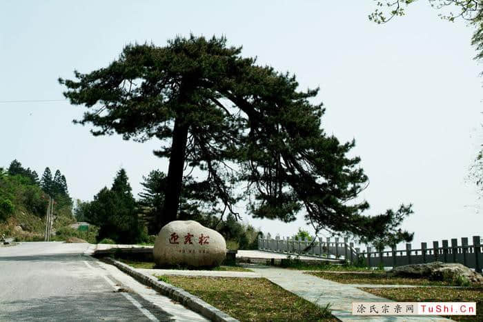 中华涂姓宗亲网